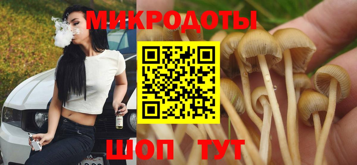 Ачхой-Мартан  Галлюциногенные грибы MAGIC MUSHROOMS  Галлюциногенные грибы MAGIC MUSHROOMS  Вход с VPN 