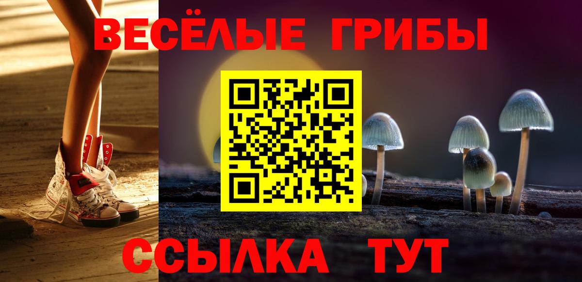Псилоцибиновые грибы Psilocybine cubensis Ачхой-Мартан